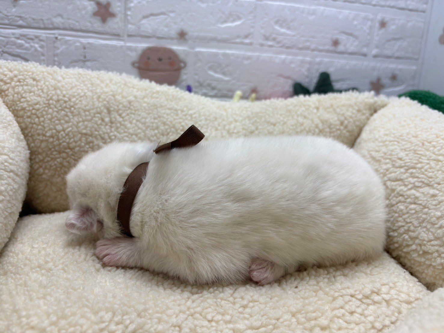 赤ちゃん写真1-2