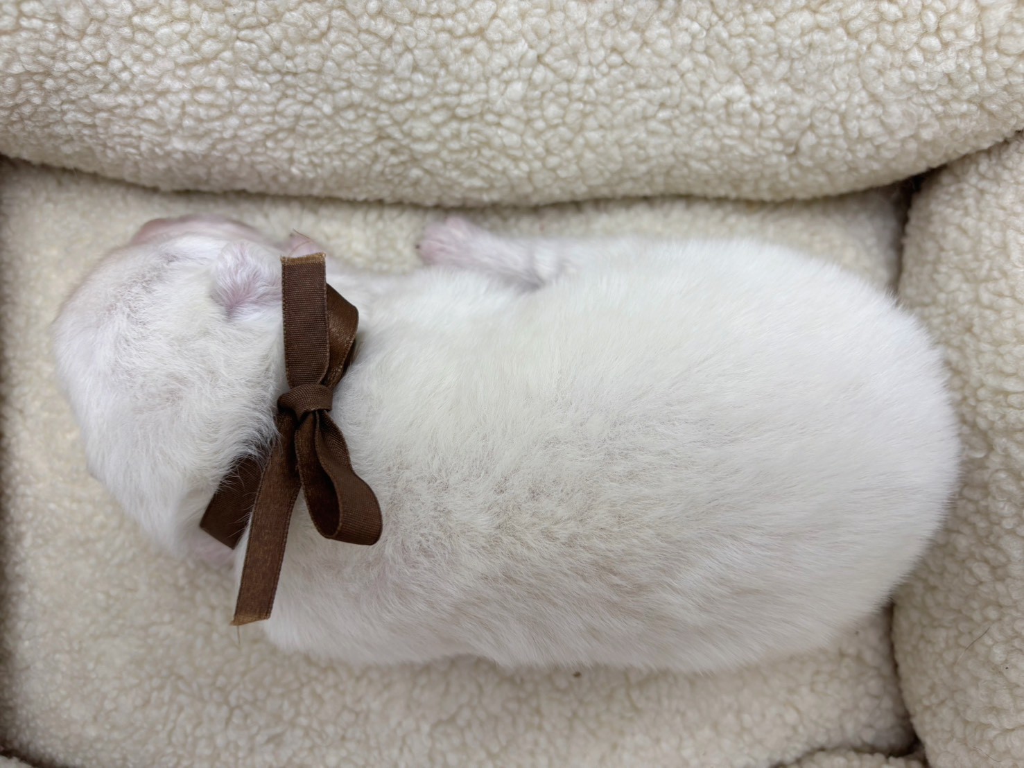 赤ちゃん写真1-3