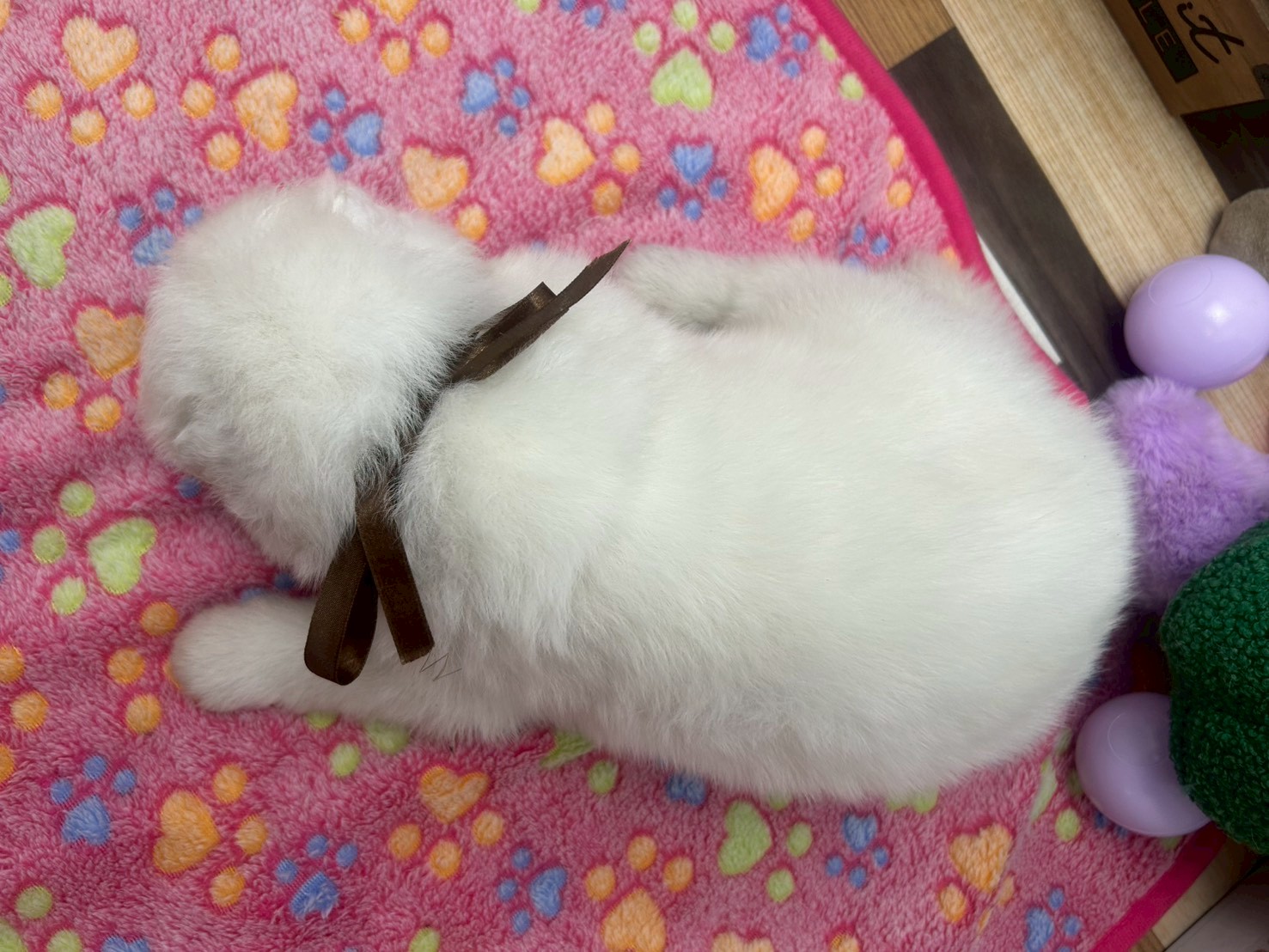 赤ちゃん写真2-3