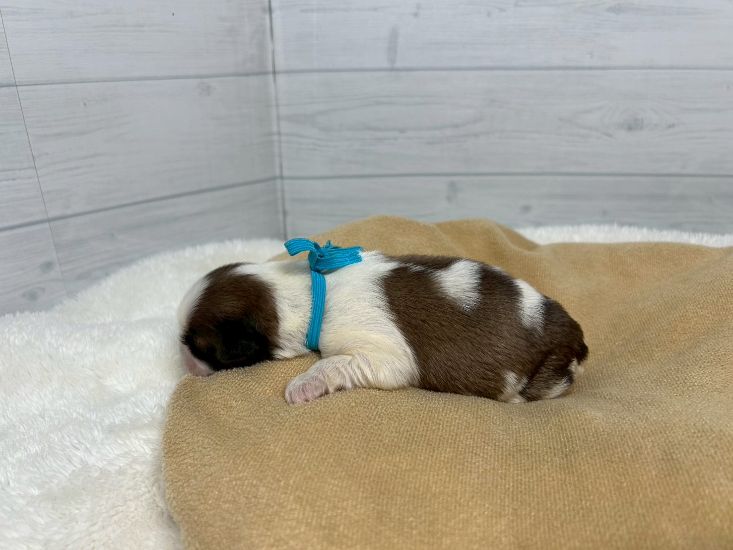 赤ちゃん写真1-2