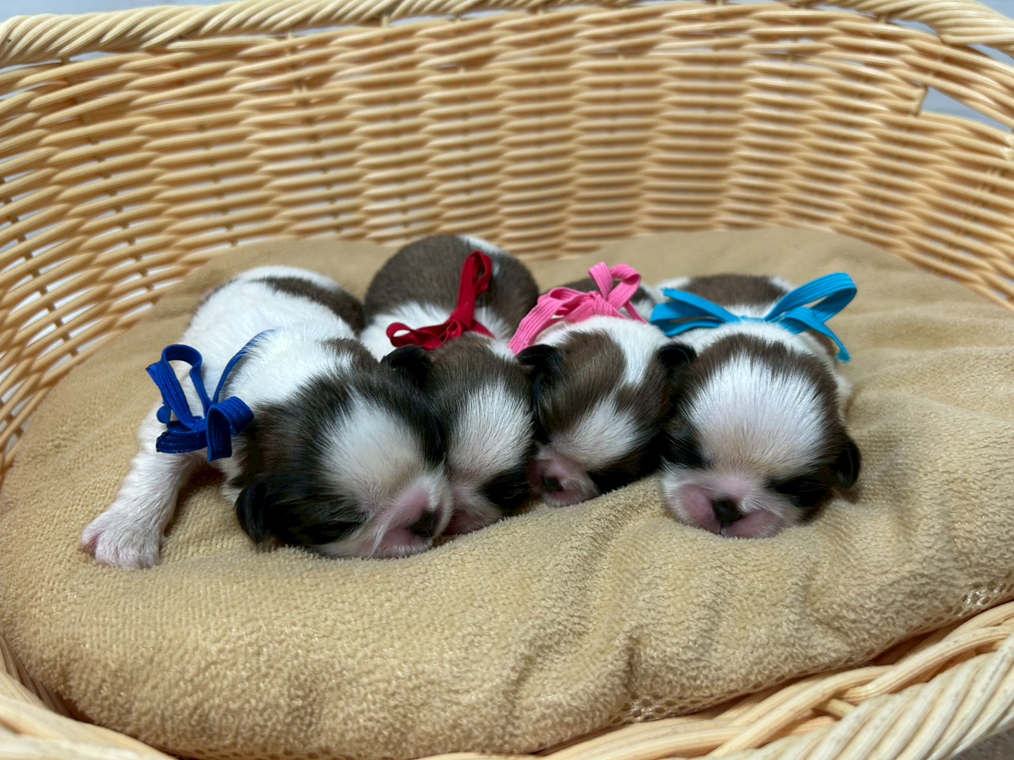 赤ちゃん写真1-3