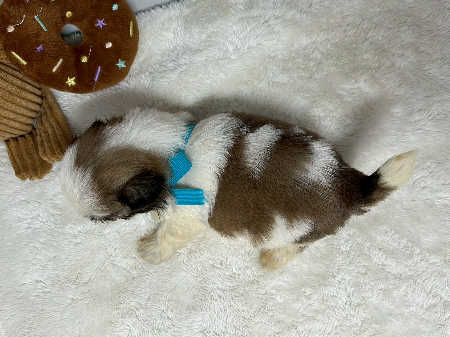 赤ちゃん写真2-3
