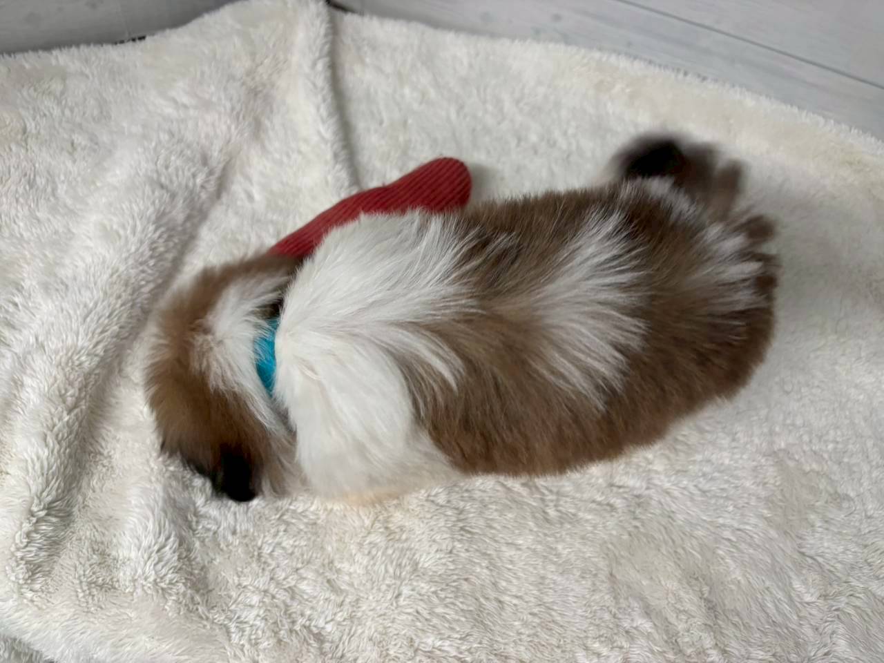 赤ちゃん写真3-3