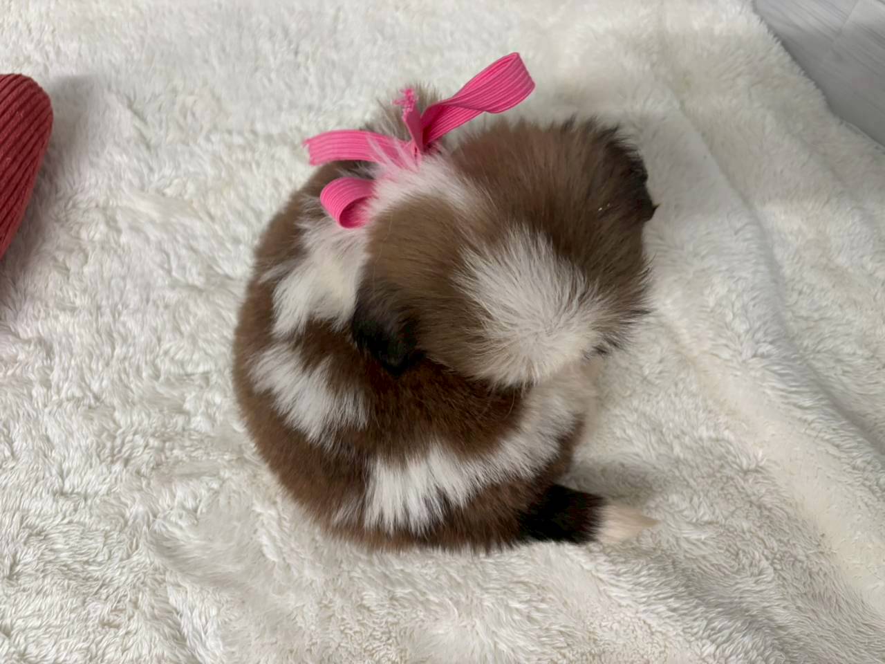 赤ちゃん写真3-3