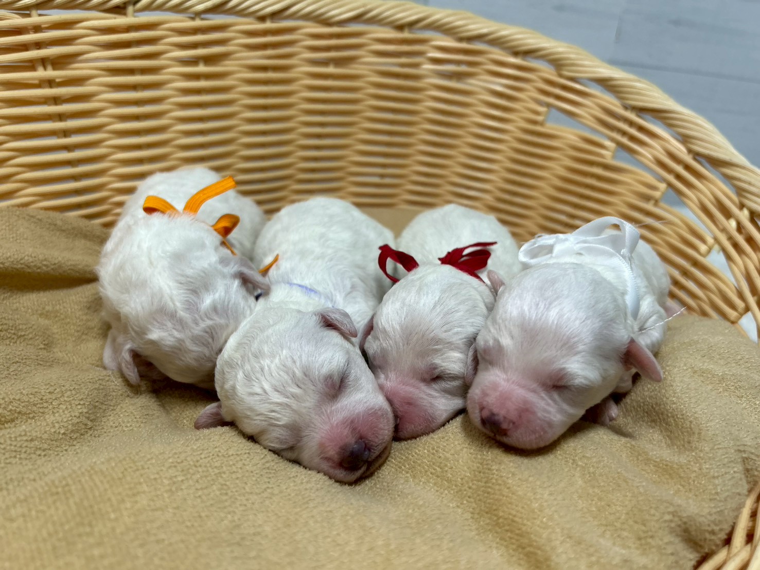 赤ちゃん写真1-3