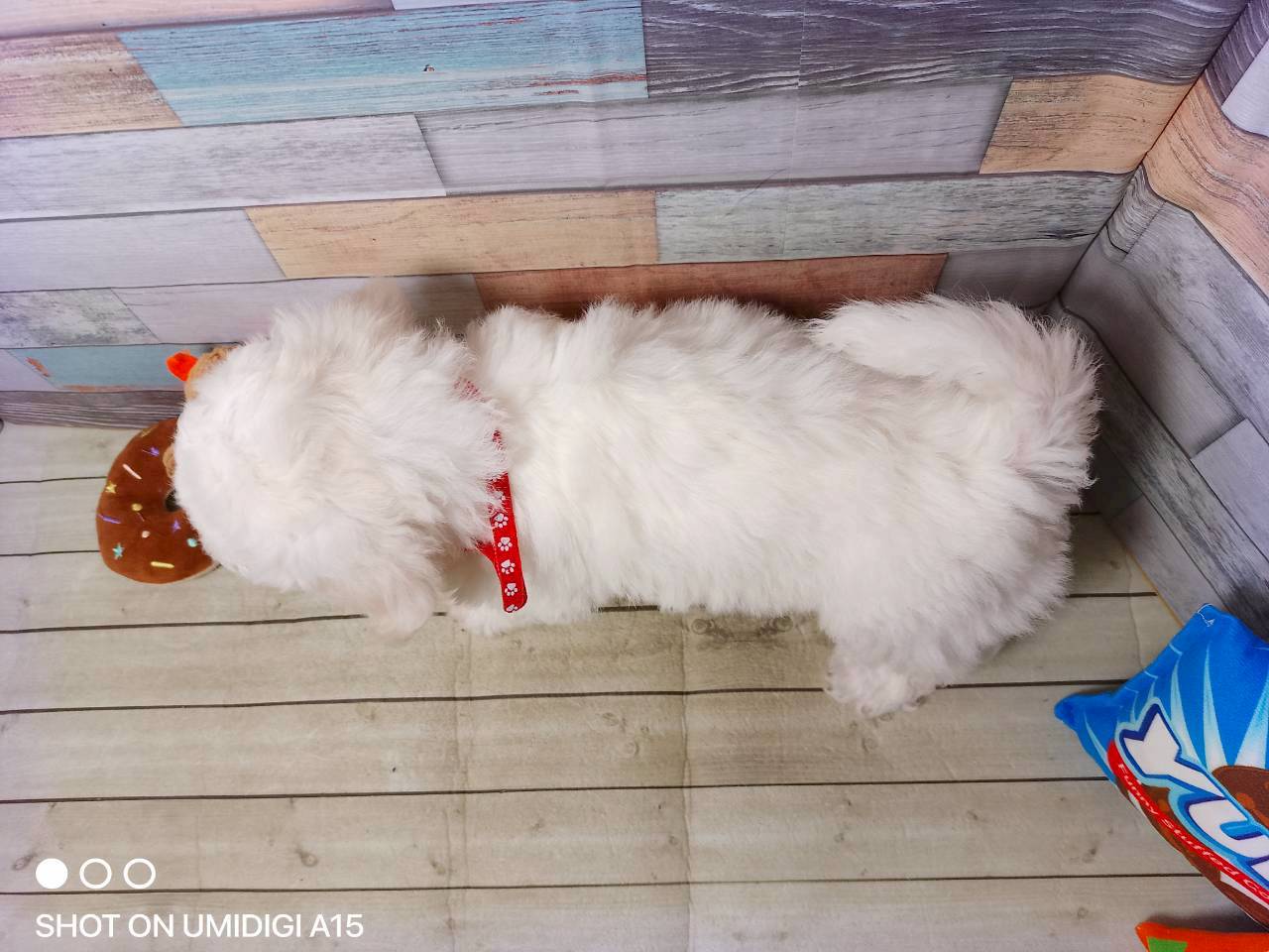 赤ちゃん写真3-3