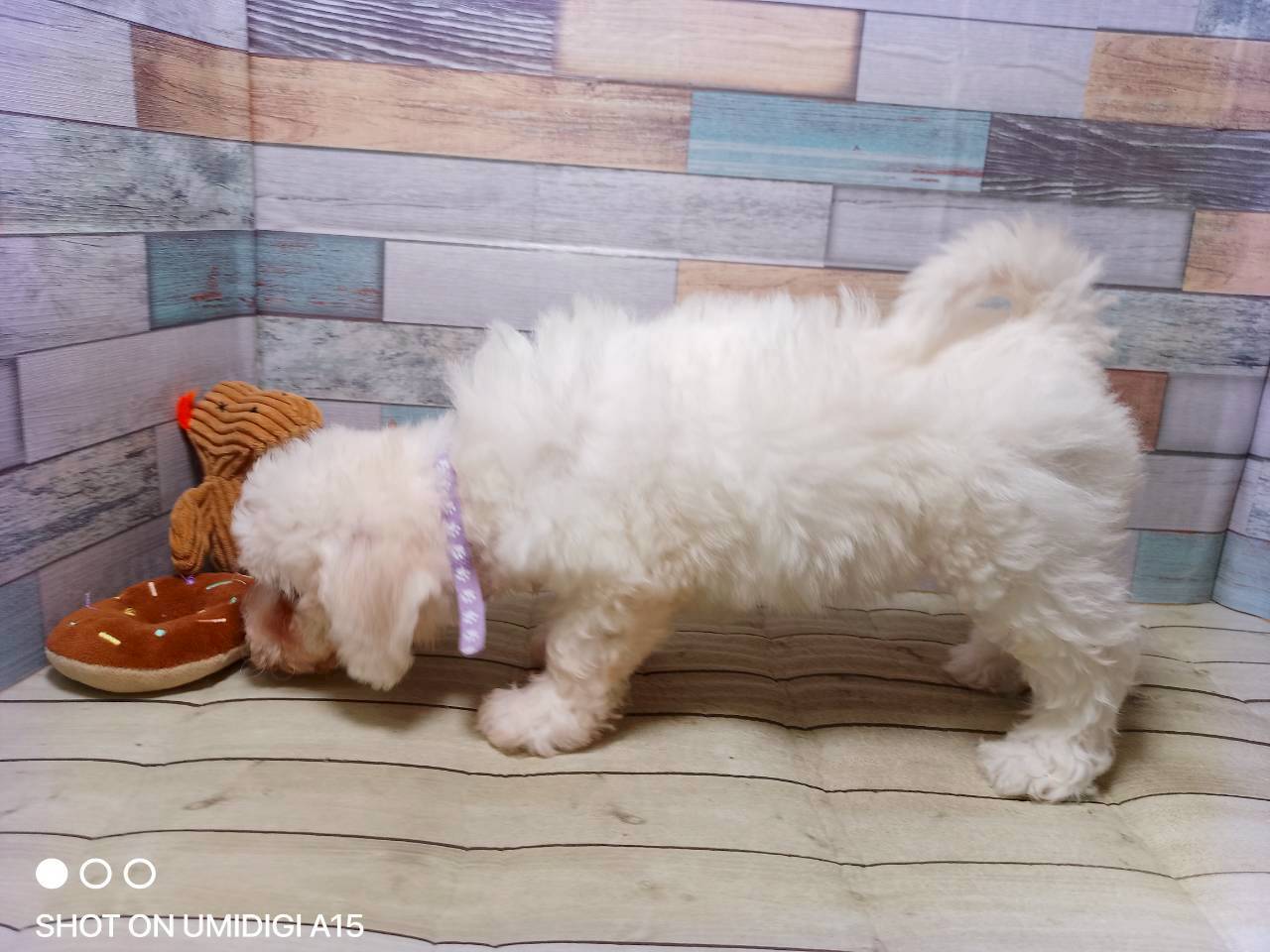 赤ちゃん写真3-2
