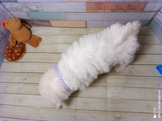 赤ちゃん写真3-3