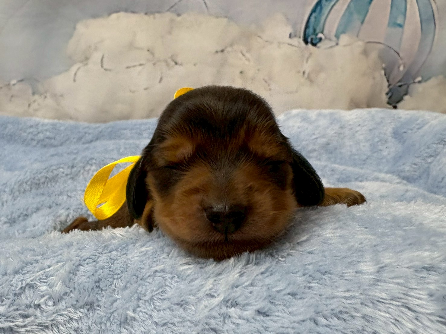 赤ちゃん写真1-1