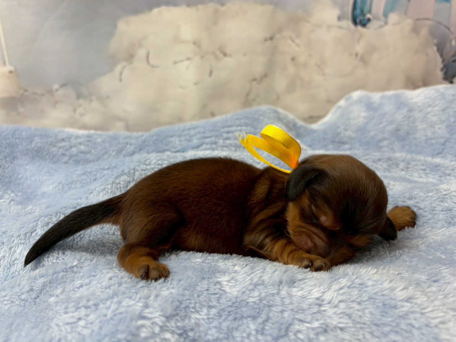 赤ちゃん写真1-2