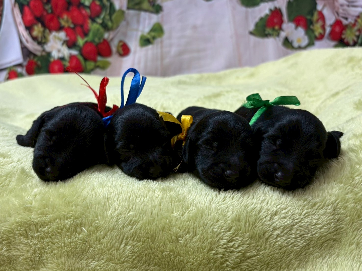 赤ちゃん写真1-3