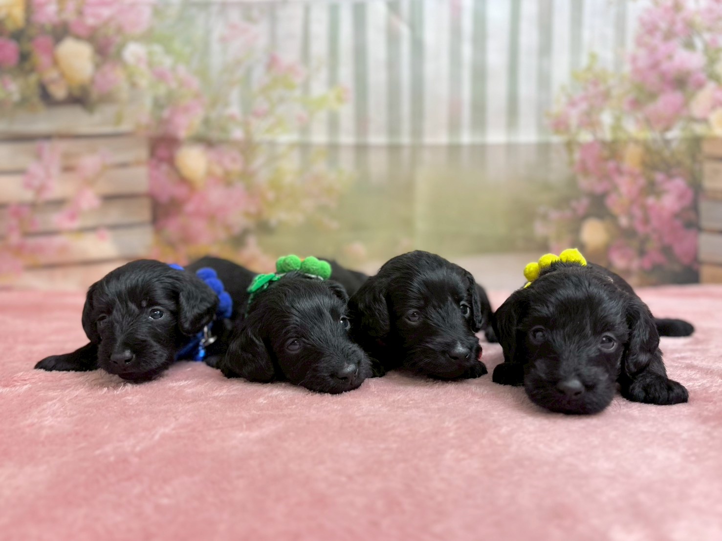 赤ちゃん写真2-3