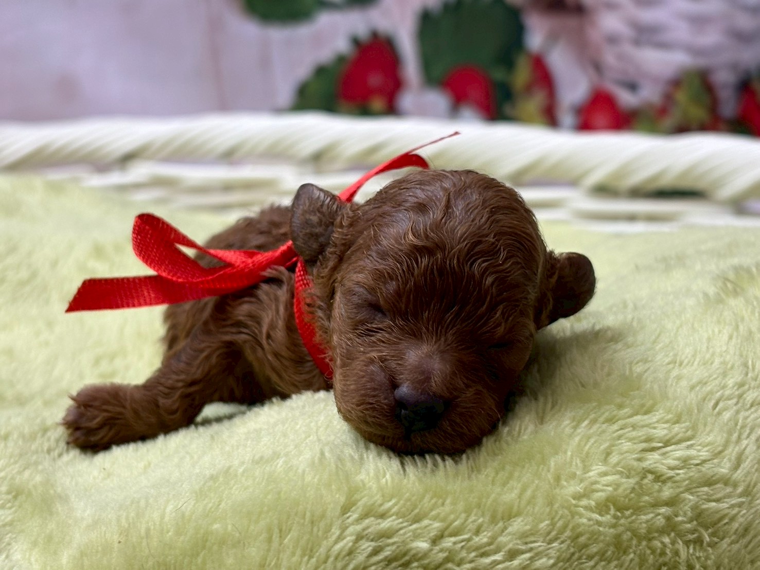 赤ちゃん写真1-1