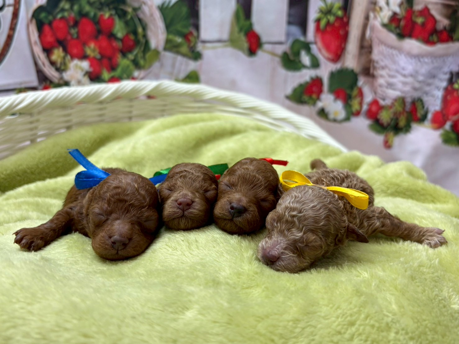 赤ちゃん写真1-3