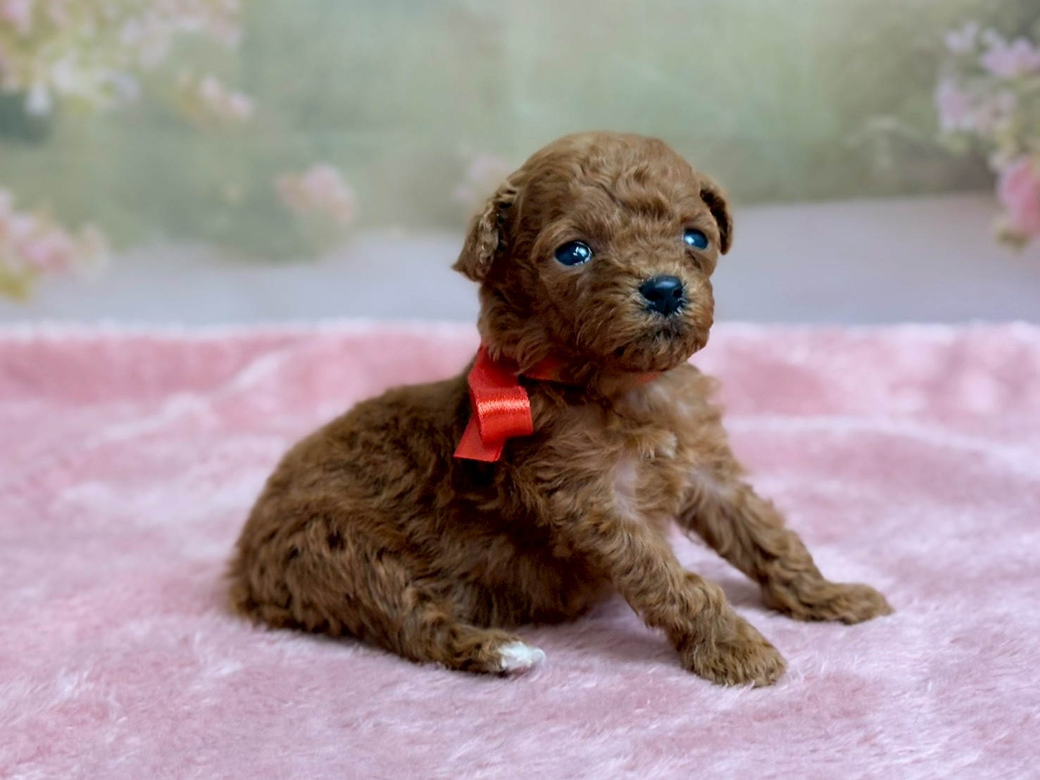 赤ちゃん写真2-2