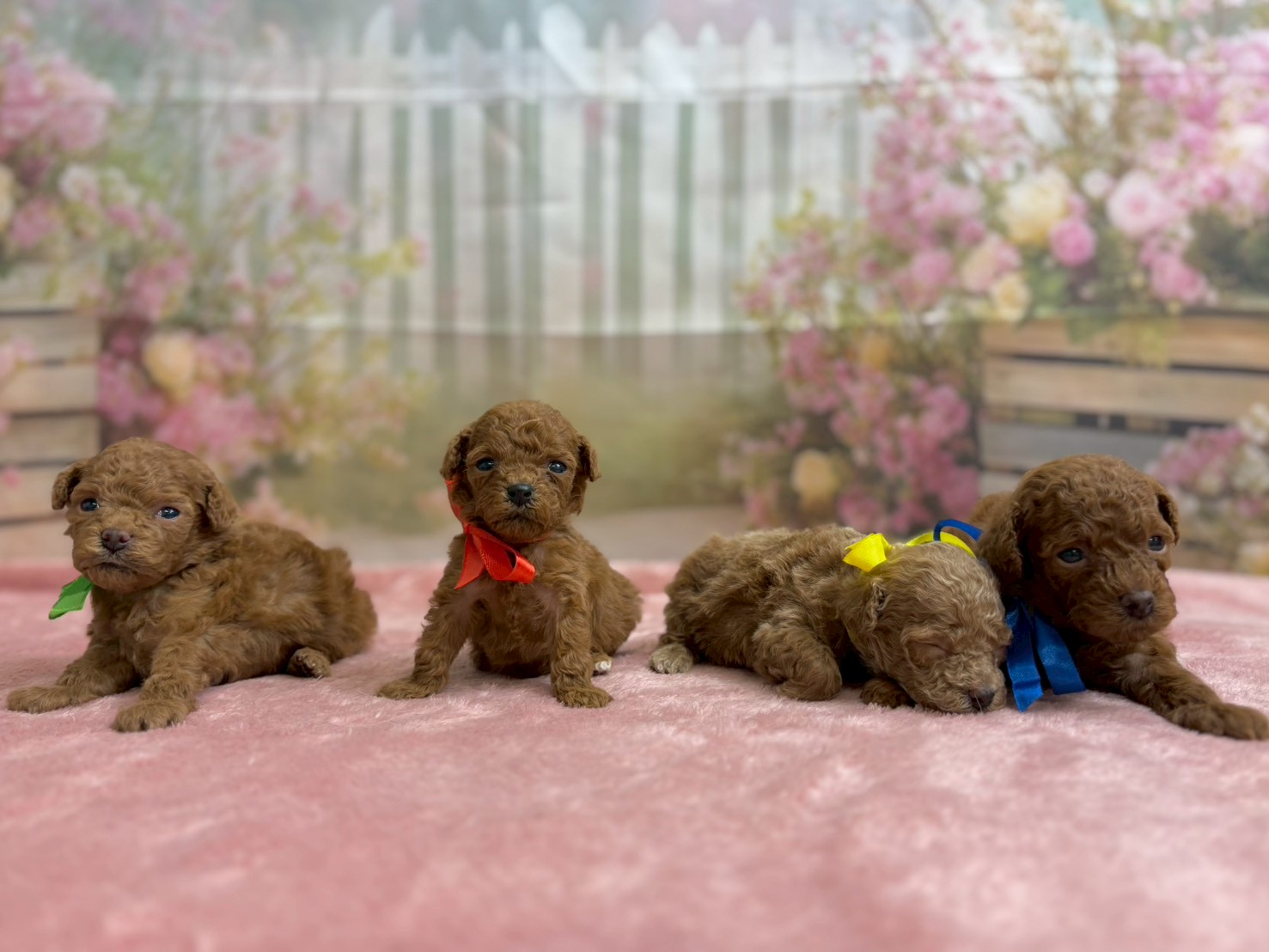 赤ちゃん写真2-3