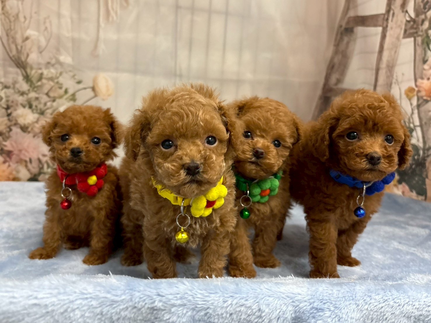 赤ちゃん写真3-3