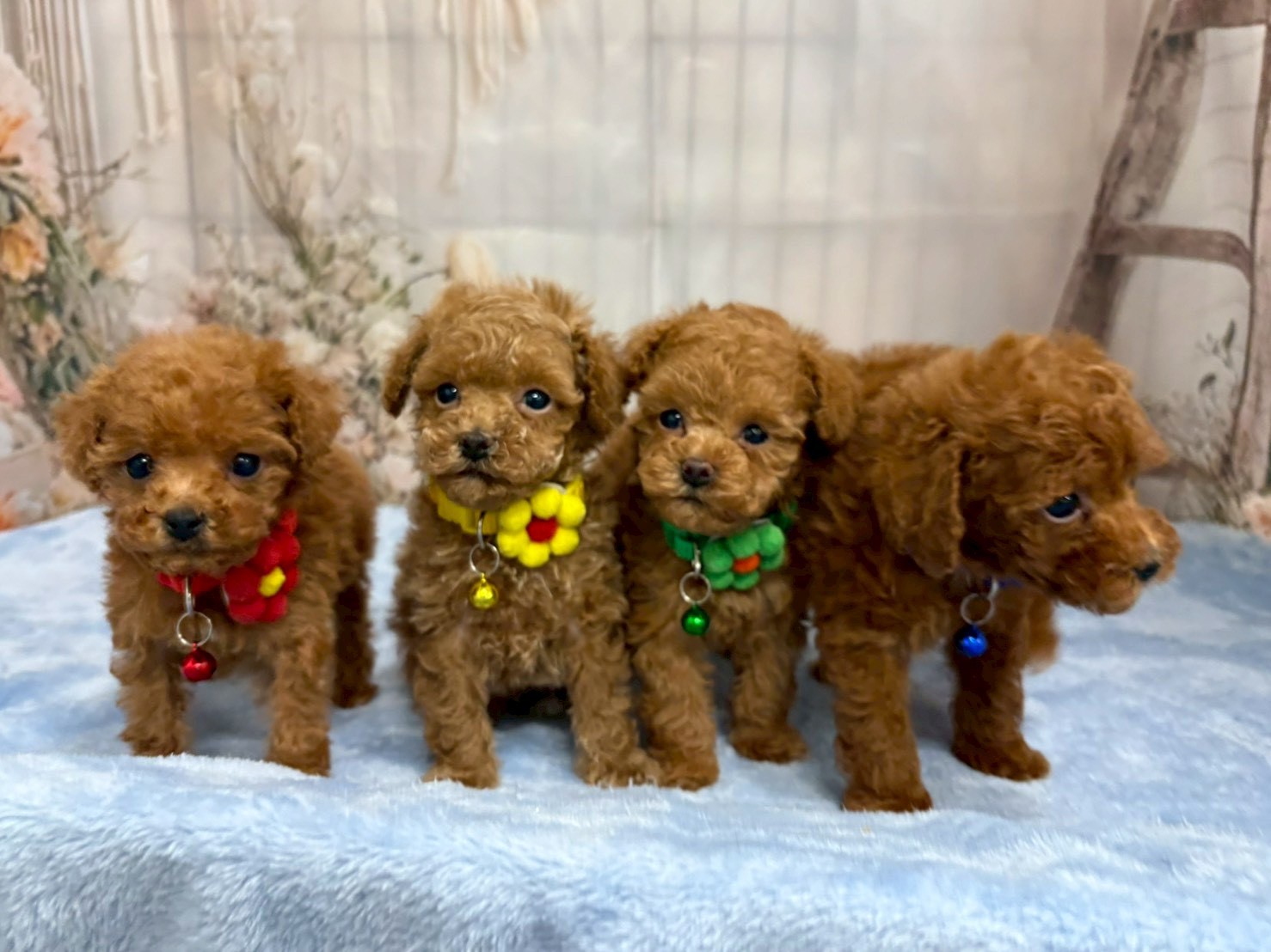 赤ちゃん写真3-3