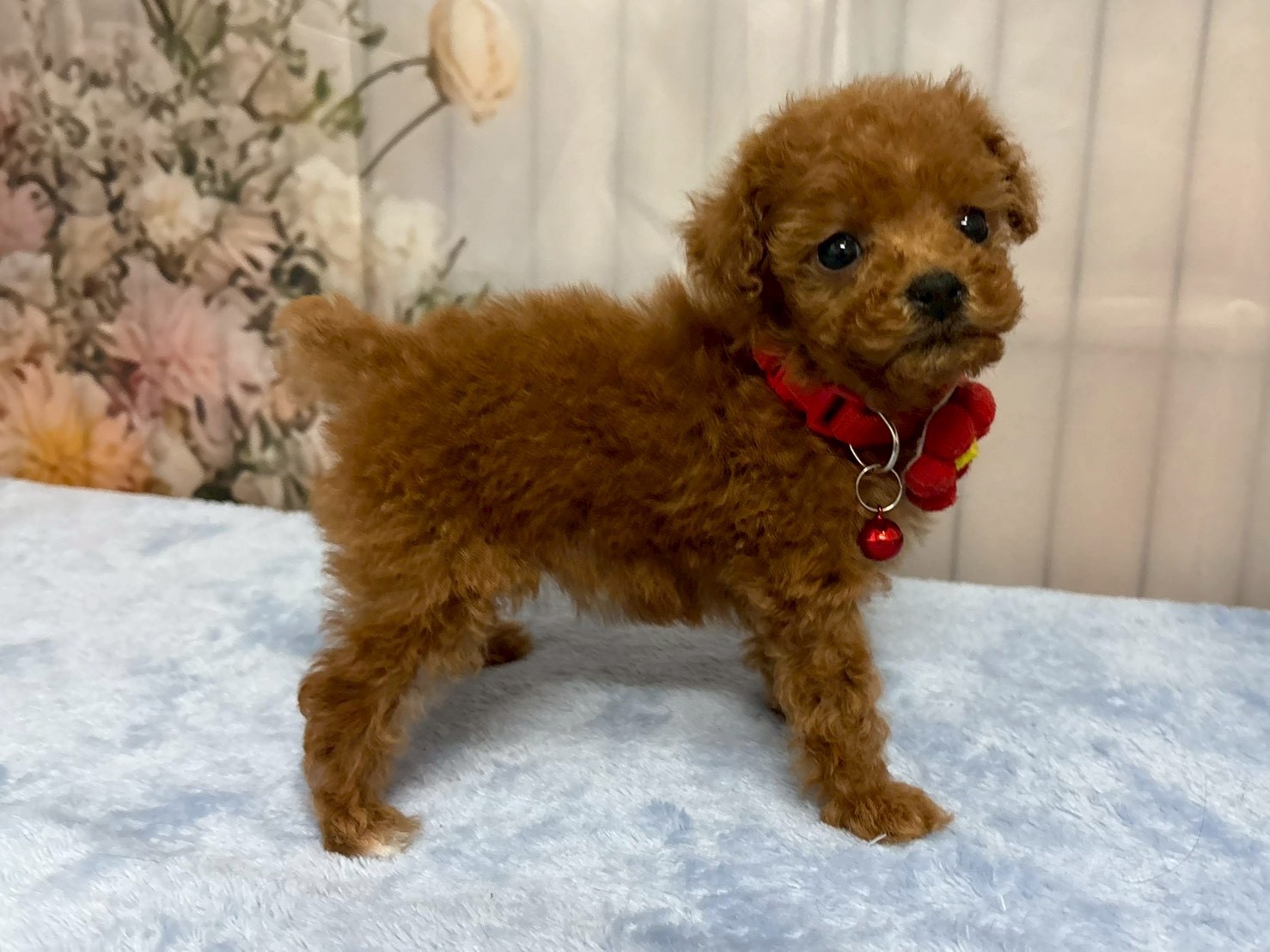 赤ちゃん写真3-2