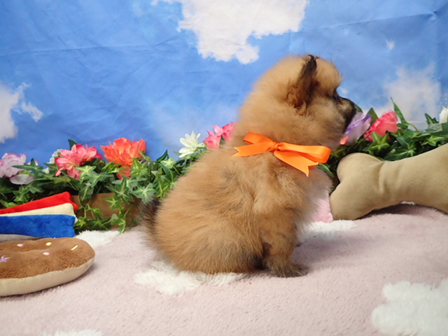 赤ちゃん写真3-2