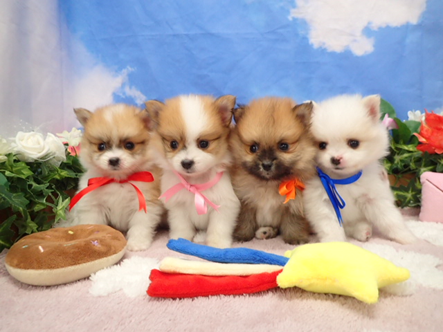 赤ちゃん写真3-3