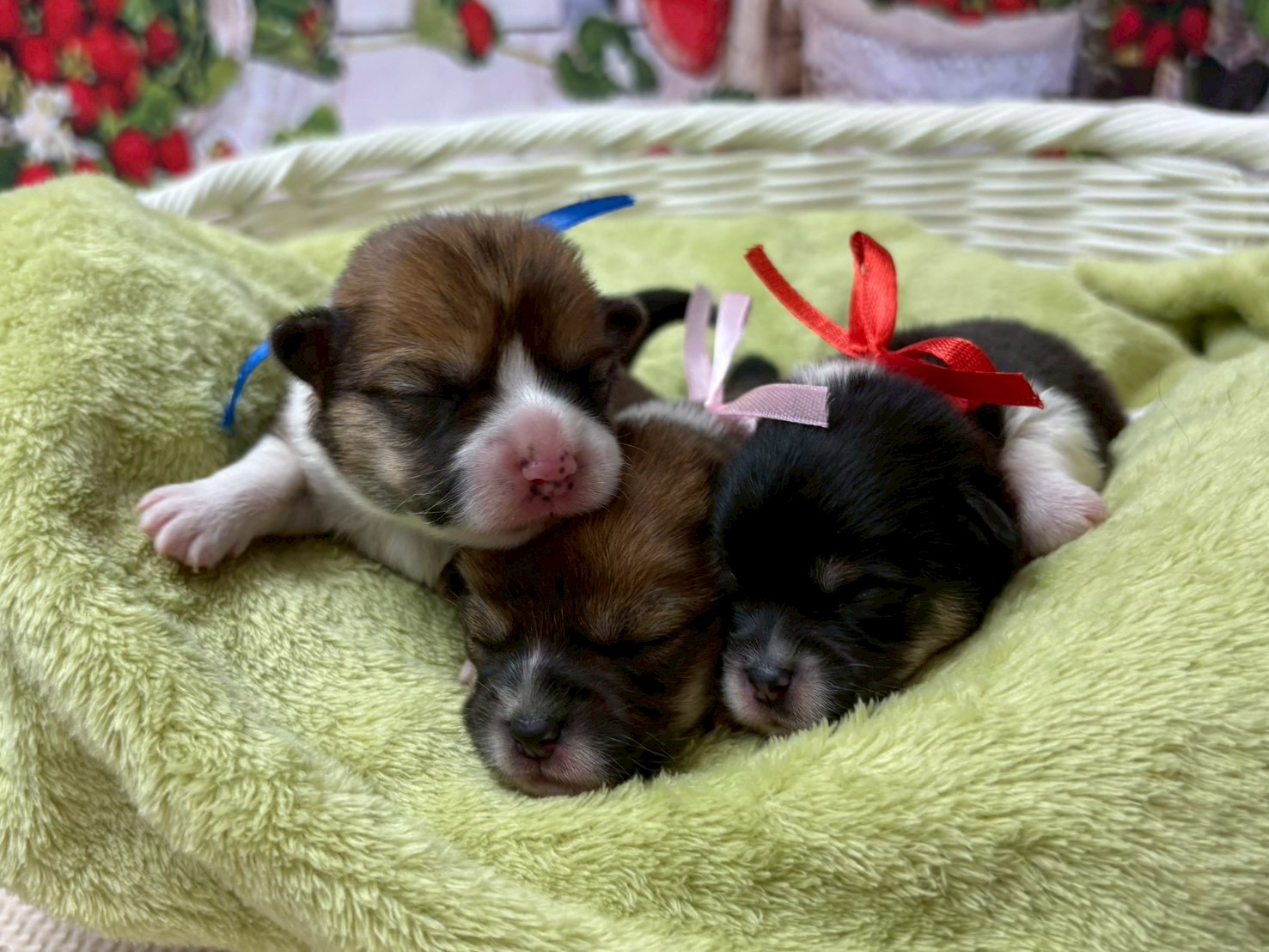 赤ちゃん写真1-3