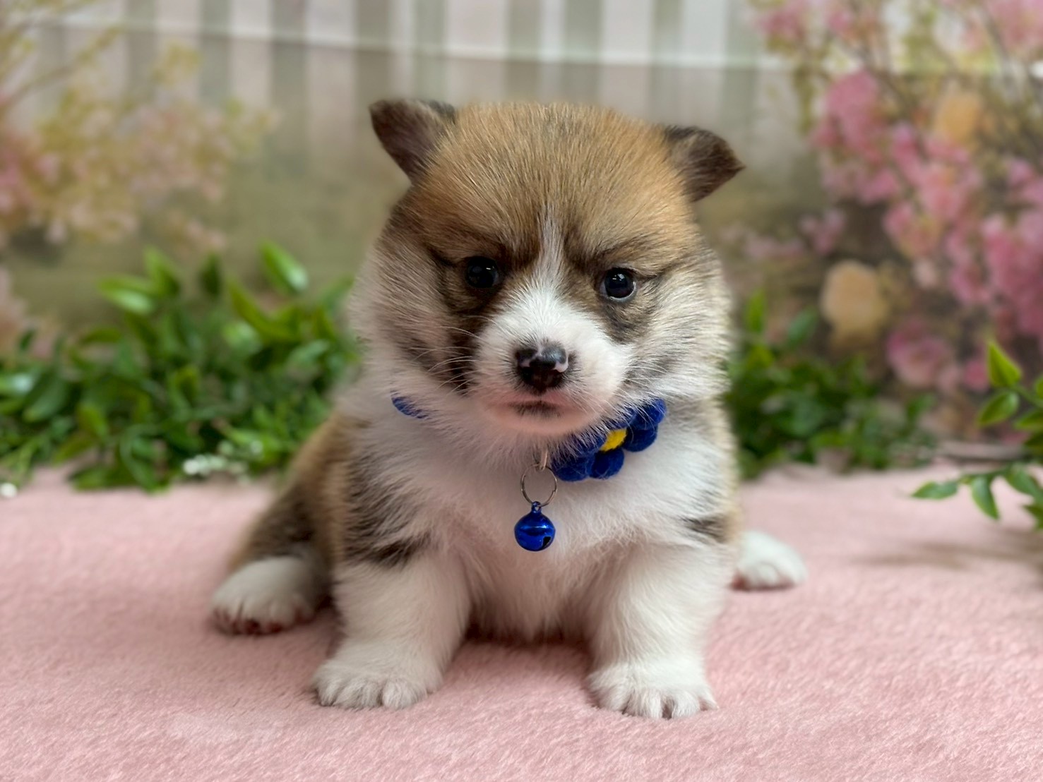 赤ちゃん写真2-1