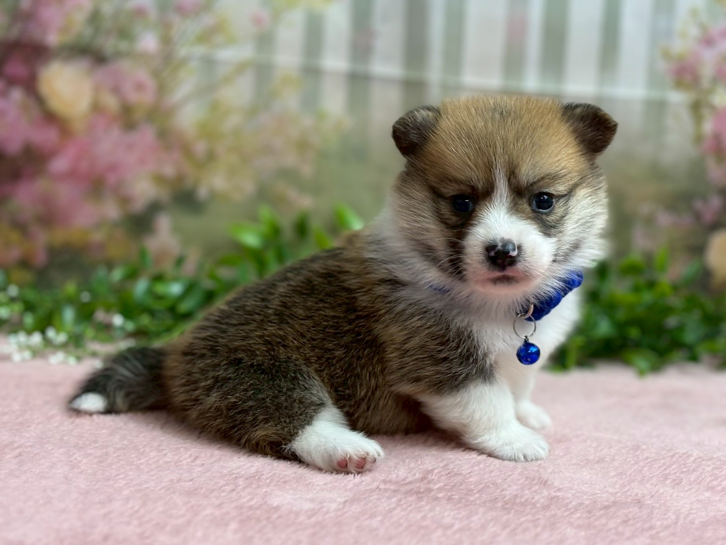 赤ちゃん写真2-2