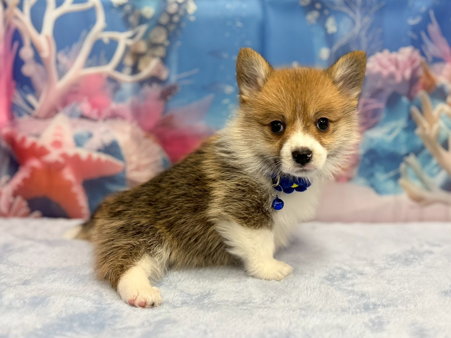 赤ちゃん写真3-2