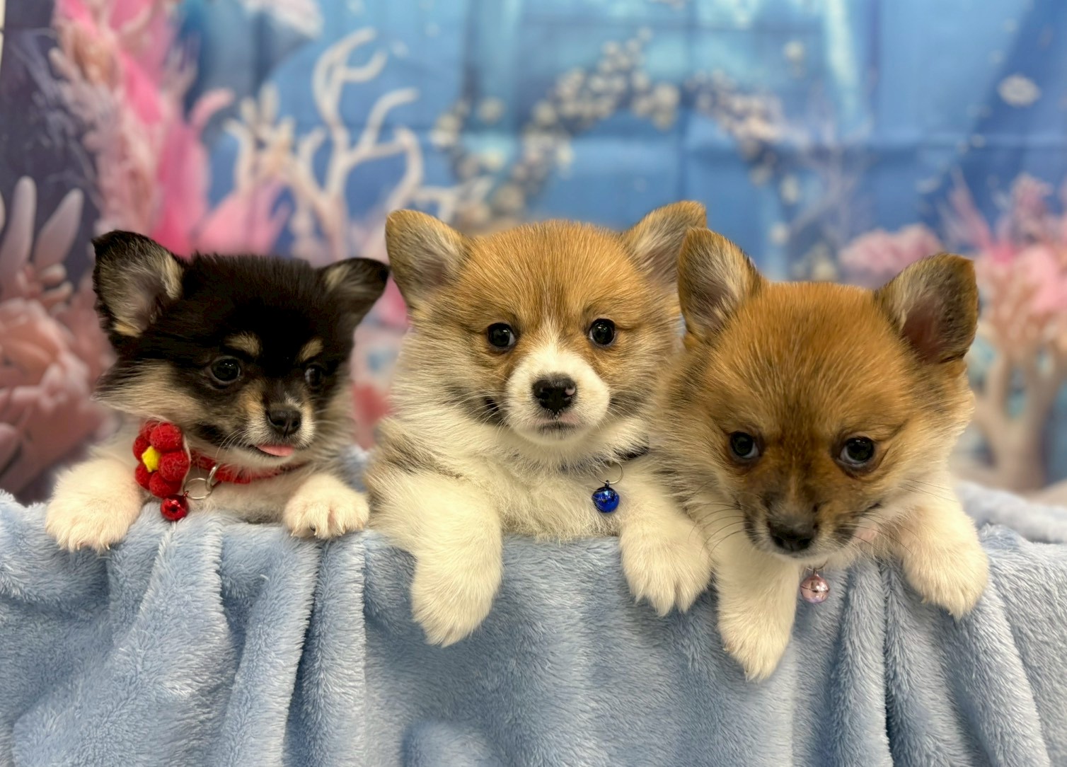 赤ちゃん写真3-3