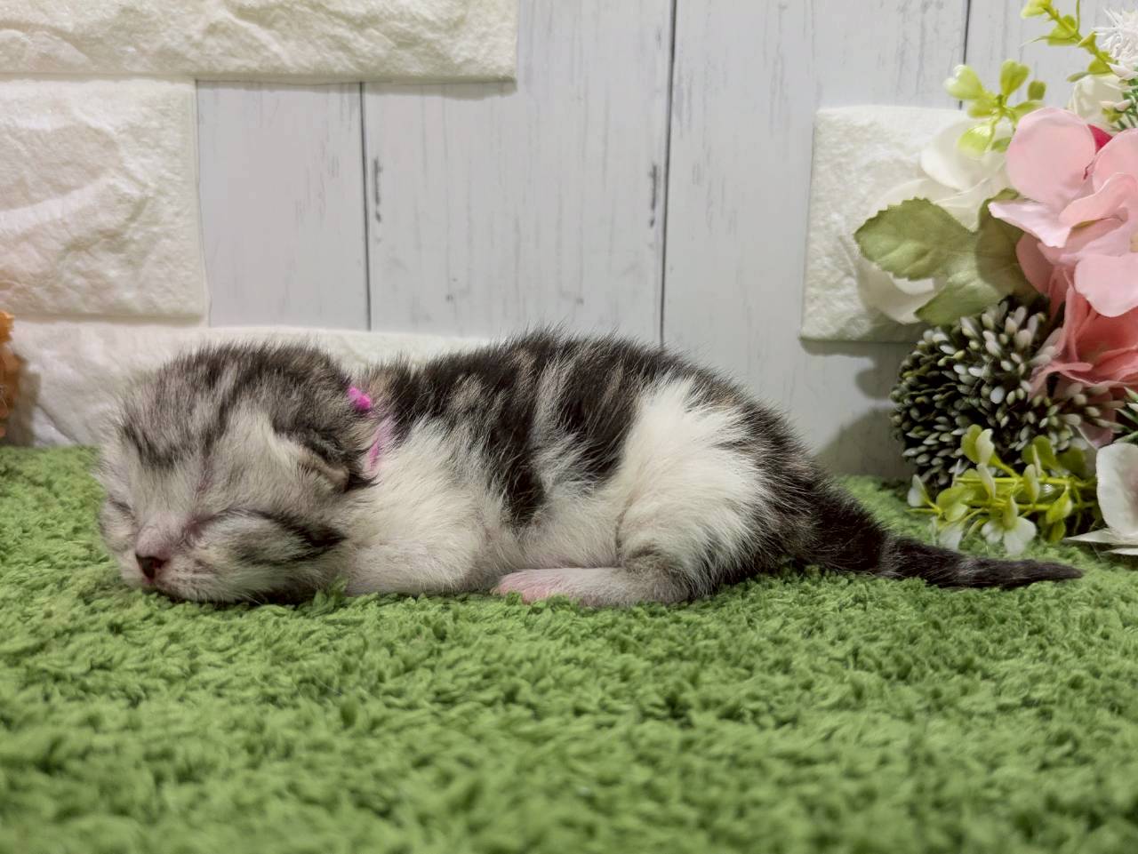 赤ちゃん写真1-2