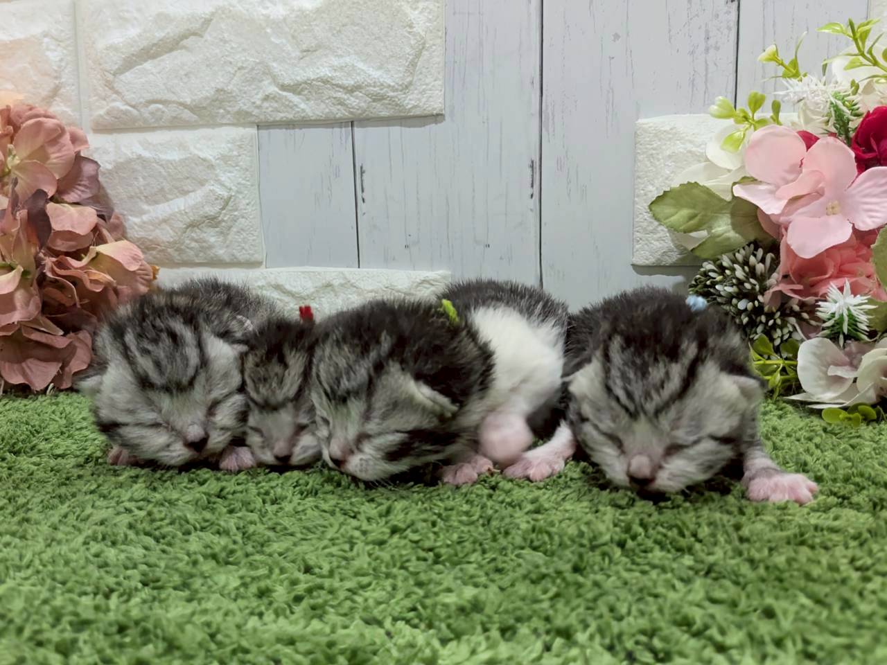 赤ちゃん写真1-3