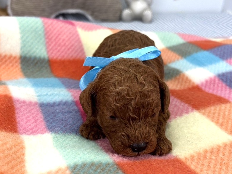 赤ちゃん写真1-1