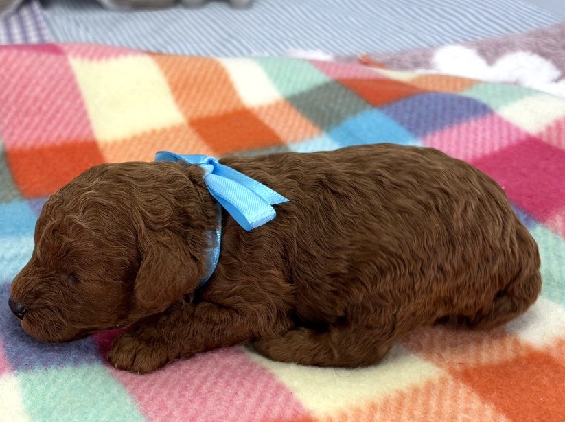 赤ちゃん写真1-2