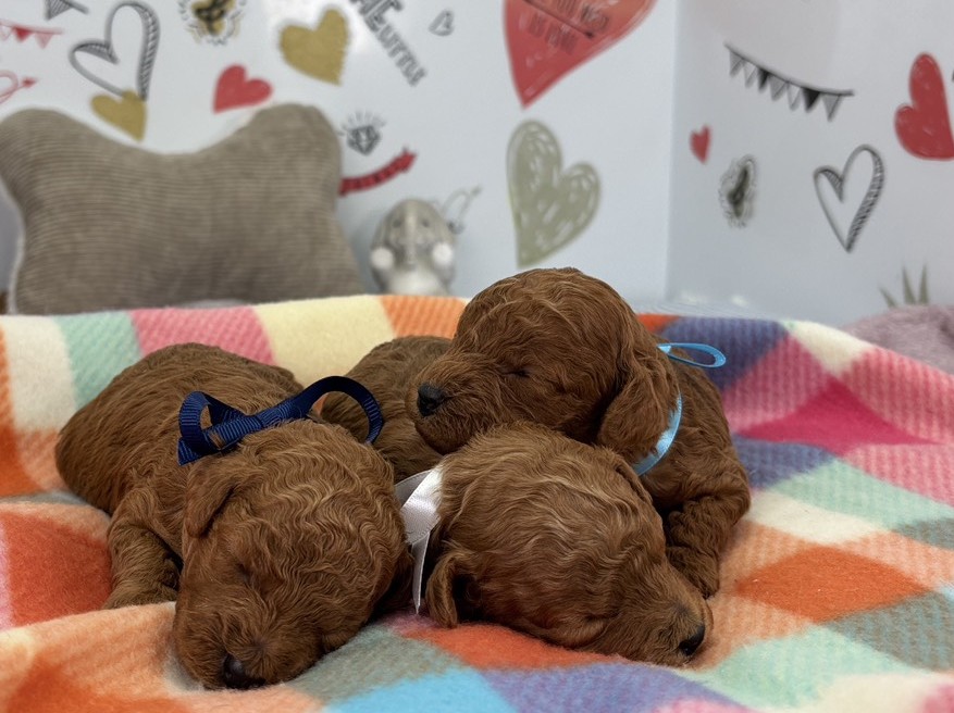 赤ちゃん写真1-3