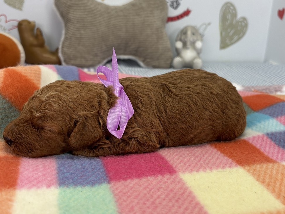 赤ちゃん写真1-2