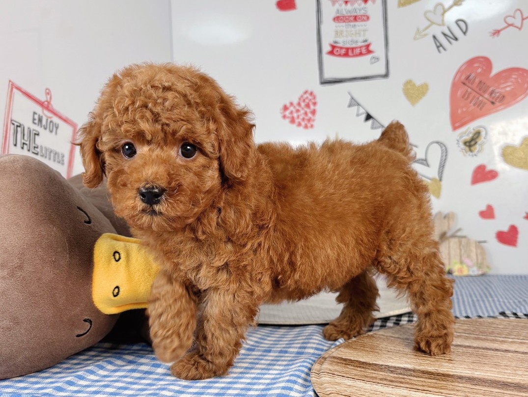 赤ちゃん写真2-2