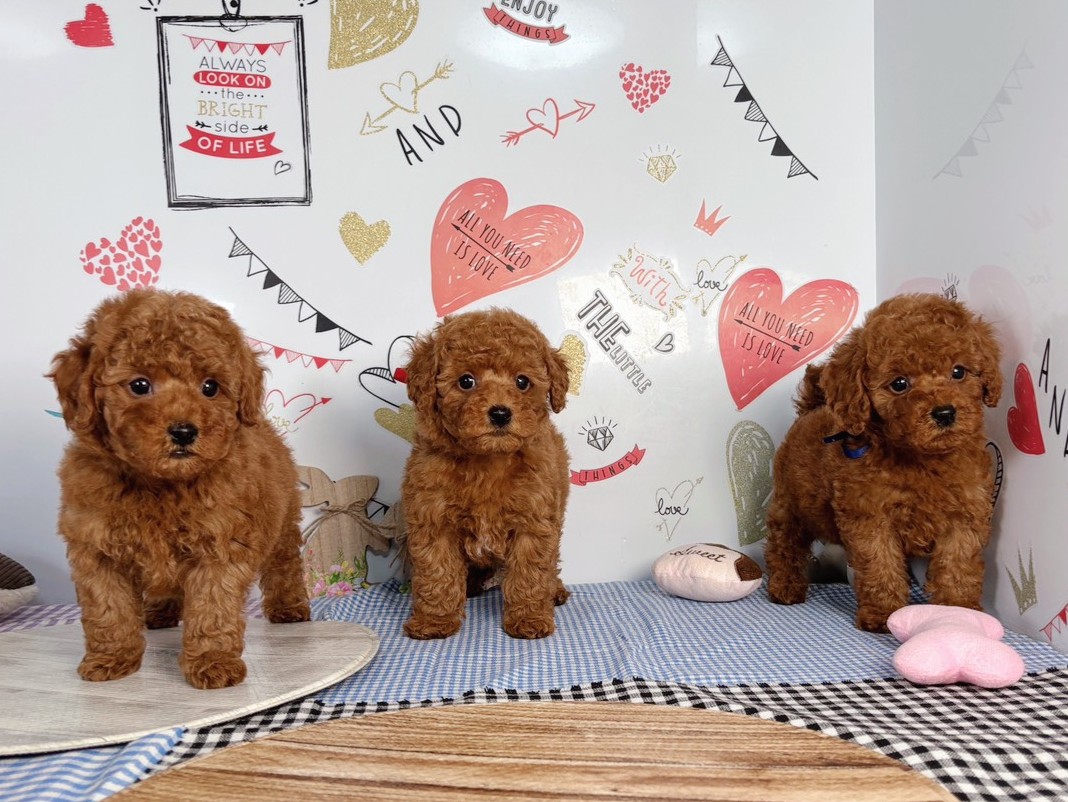 赤ちゃん写真2-3