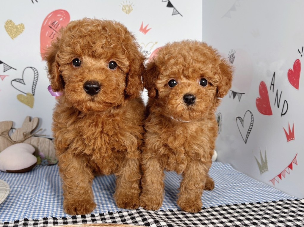 赤ちゃん写真2-3