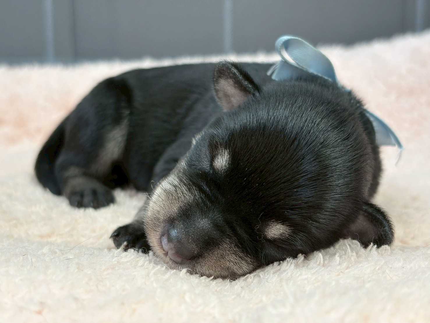 赤ちゃん写真1-1