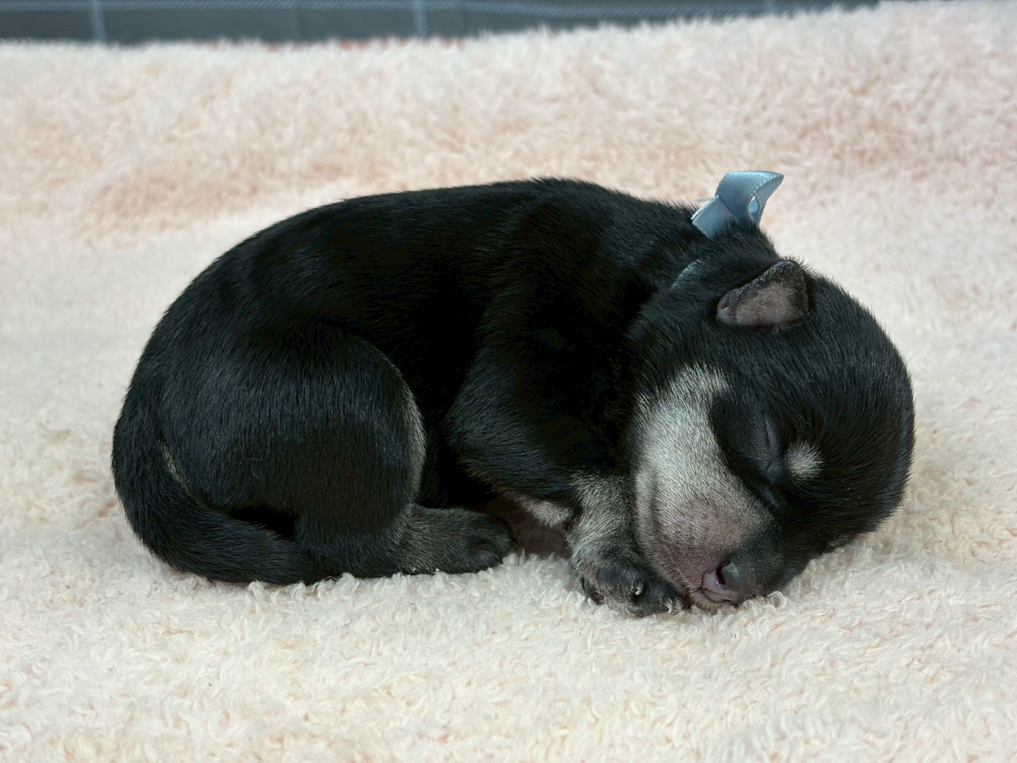 赤ちゃん写真1-2