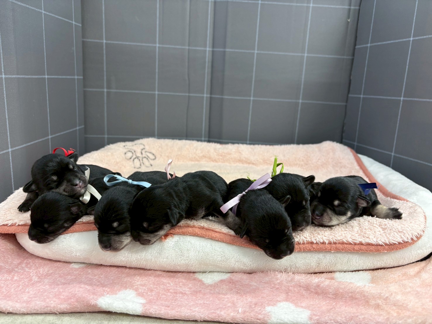 赤ちゃん写真1-3