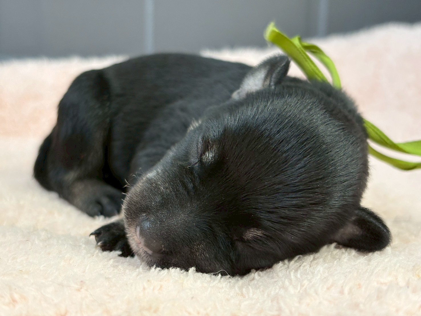 赤ちゃん写真1-1