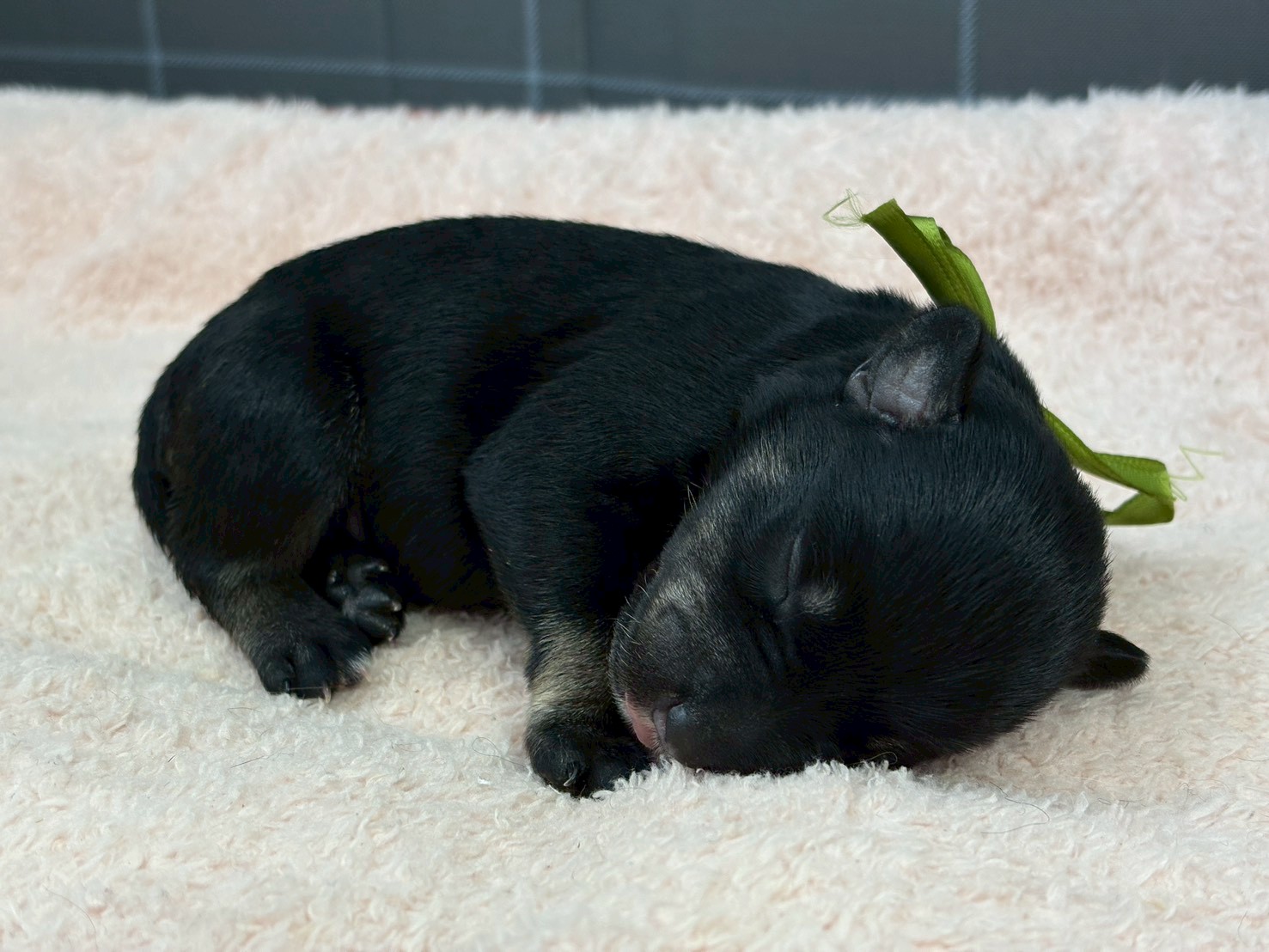 赤ちゃん写真1-2