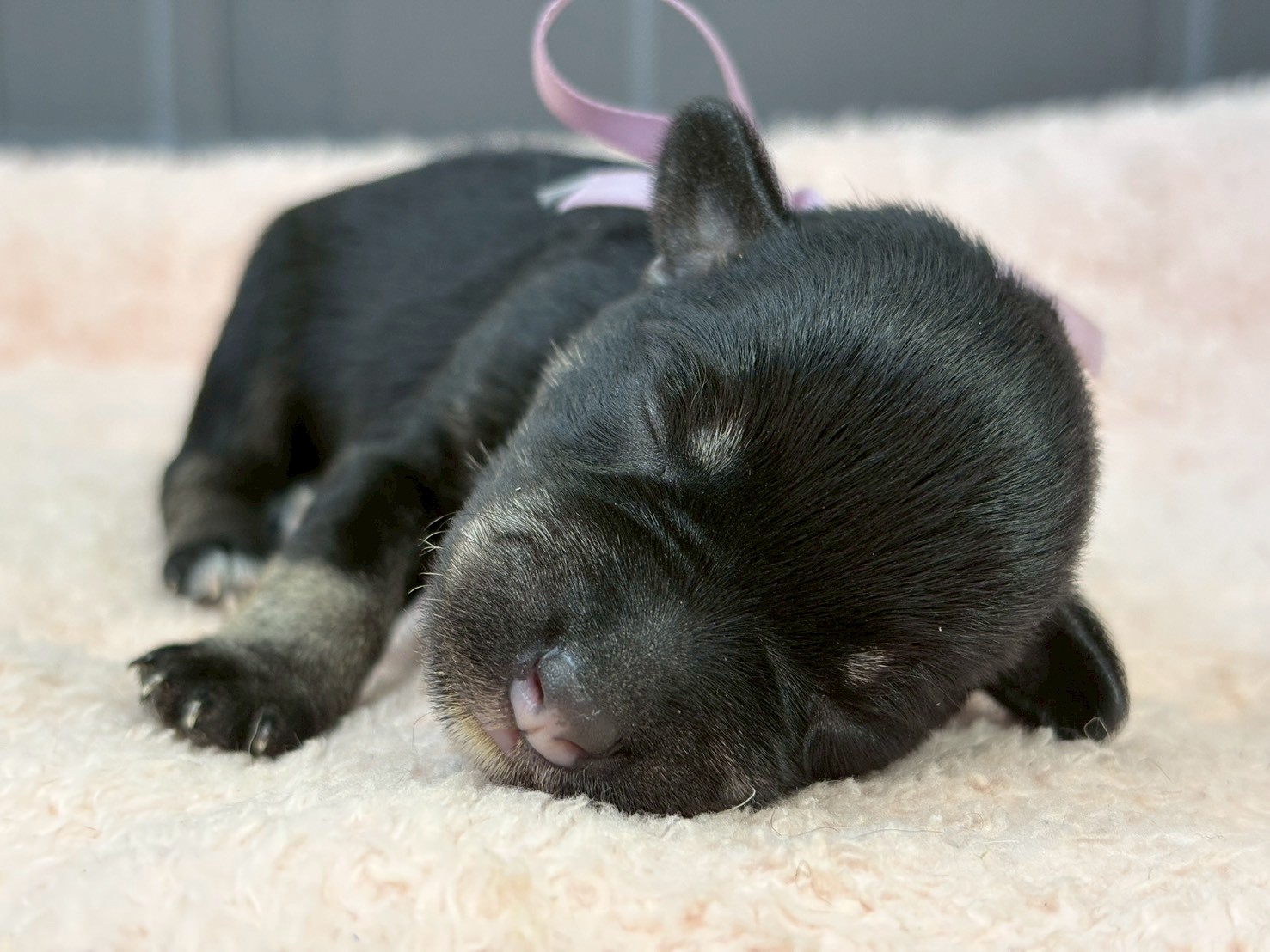 赤ちゃん写真1-1