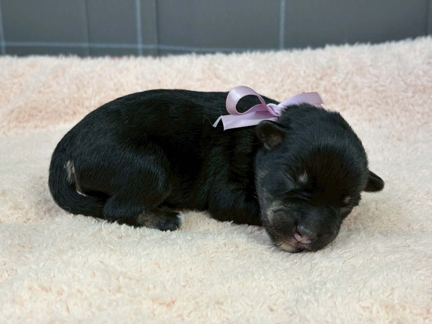 赤ちゃん写真1-2