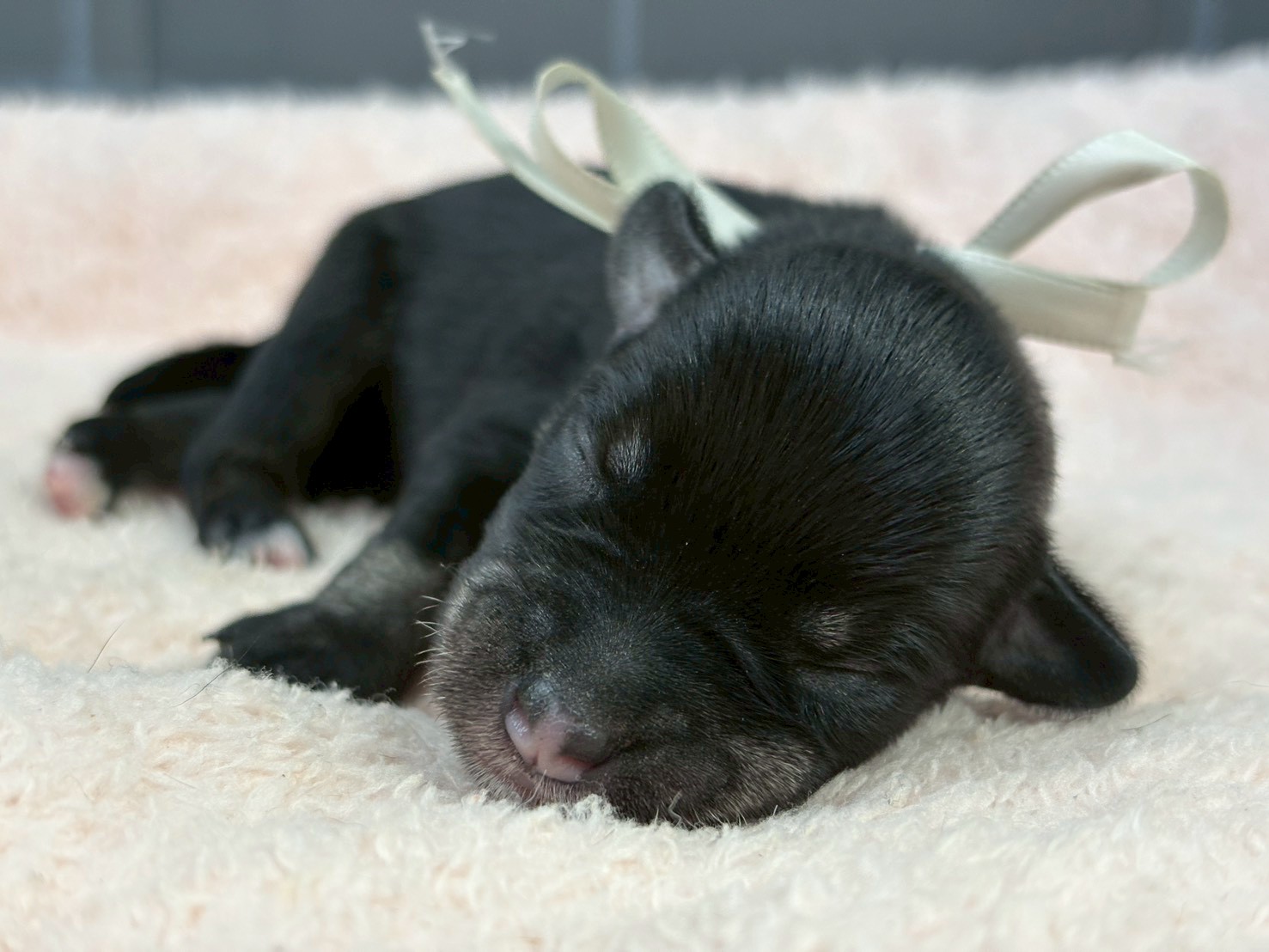 赤ちゃん写真1-1