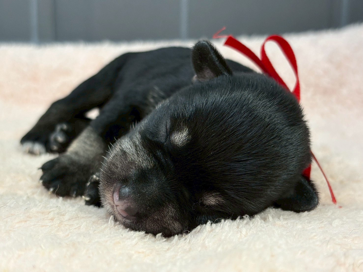 赤ちゃん写真1-1