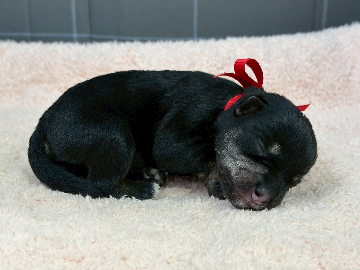 赤ちゃん写真1-2