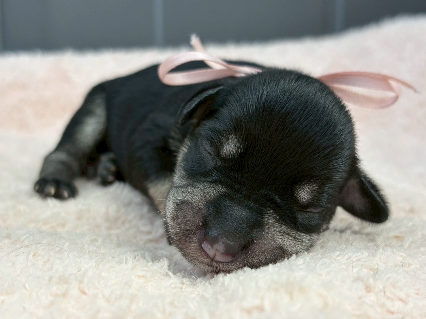 赤ちゃん写真1-1